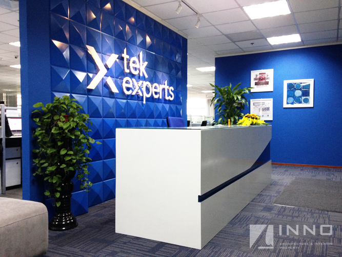 Tek Experts one member limited liability